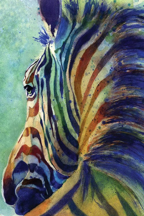Zebra Rainbow by Rachel Parker wall art