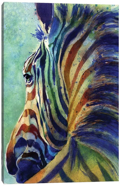 Zebra Rainbow Canvas Art Print - Rachel Parker