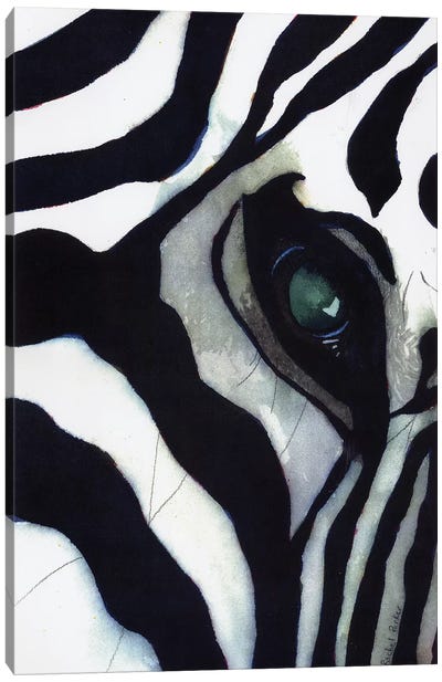 Zebra Thoughts Canvas Art Print - Zebra Art