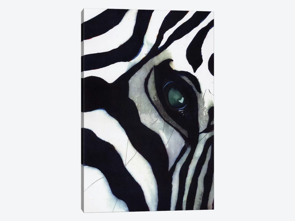 Zebra Thoughts by Rachel Parker 1-piece Canvas Art Print