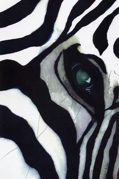 Zebras: Zebra Thoughts by Rachel Parker