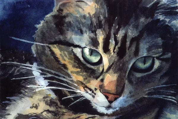 Maine Coon Cats