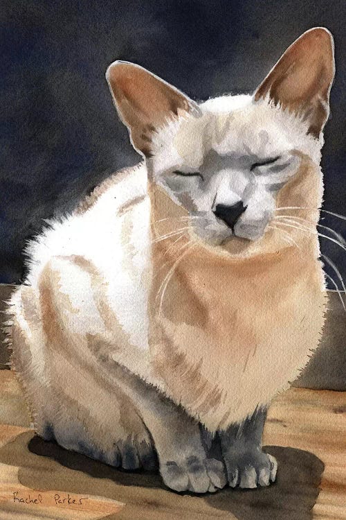 Peace Kitty by Rachel Parker wall art