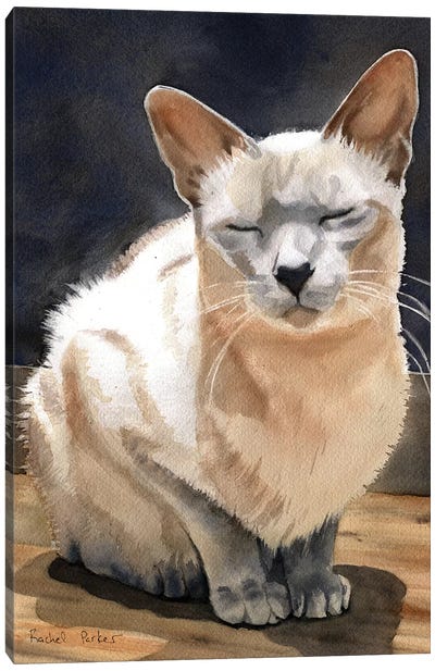 Peace Kitty Canvas Art Print - Rachel Parker
