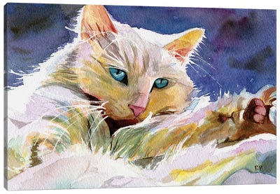 Persian Eyes Canvas Art Print - Persian Cats