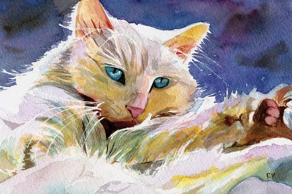 Persians: Persian Eyes by Rachel Parker