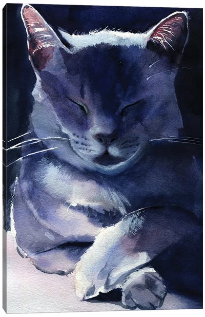 Russian Blue Canvas Art Print - Rachel Parker