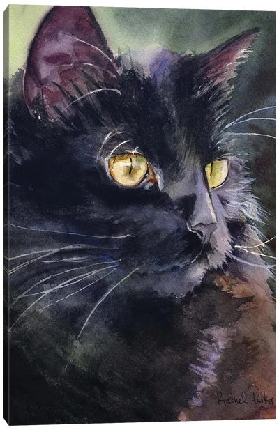 Sadie On Alert Canvas Art Print - Black Cat Art