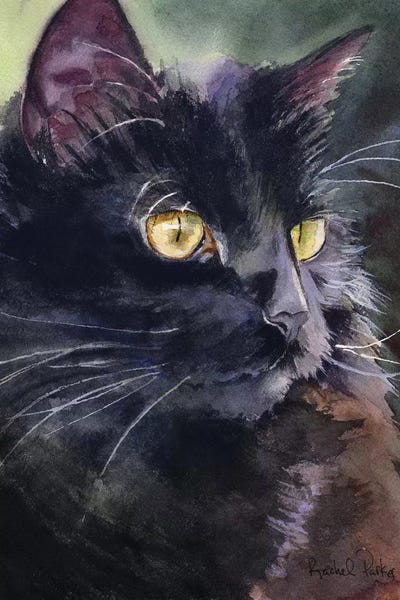 Black Cats: Sadie On Alert by Rachel Parker