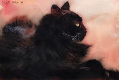 Sadie Sunbathing by Rachel Parker framed canvas print