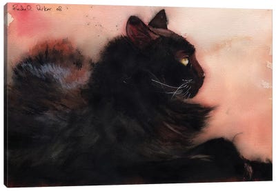 Sadie Sunbathing Canvas Art Print - Black Cat Art