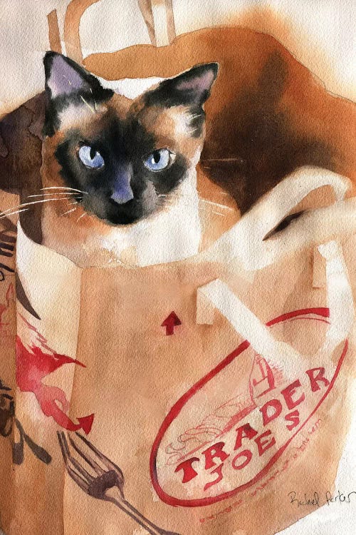 Bagged Siamese by Rachel Parker wall art