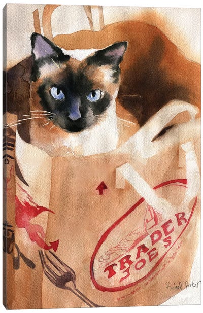 Bagged Siamese Canvas Art Print - Rachel Parker