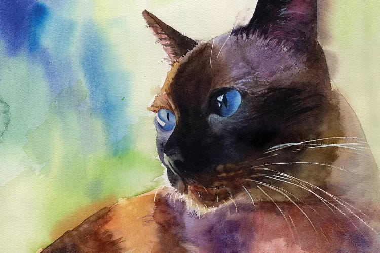 Siamese Lit by Rachel Parker wall art