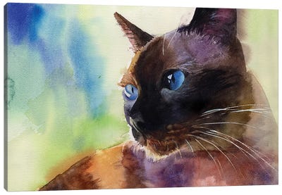 Siamese Lit Canvas Art Print - Siamese Cat Art