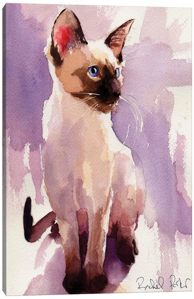 Siamese Sit With Lavender Canvas Art Print - Siamese Cat Art