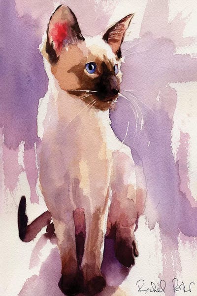 Siamese: Siamese Sit With Lavender by Rachel Parker
