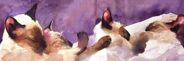 Siamese Strip by Rachel Parker wall art