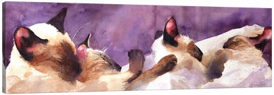 Siamese Strip Canvas Art Print - Siamese Cat Art