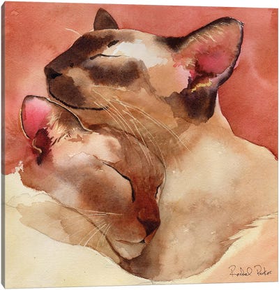 Slumber Canvas Art Print - Siamese Cat Art