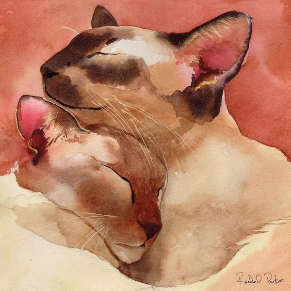 Siamese: Slumber by Rachel Parker