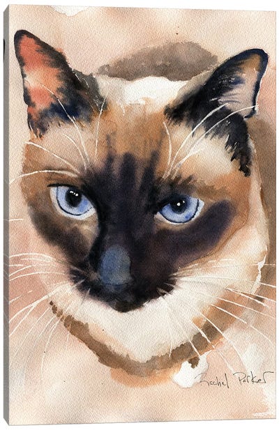 Soft Shades Canvas Art Print - Siamese Cat Art