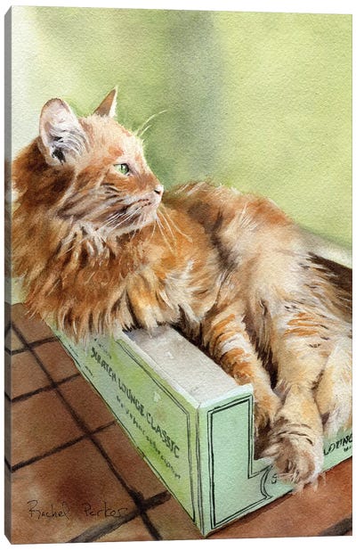 Tabby Green Canvas Art Print - Tabby Cat Art