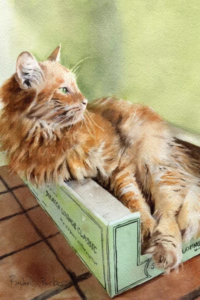 Tabbies: Tabby Green by Rachel Parker