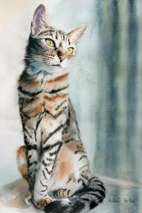 Tabby Lean by Rachel Parker wall art