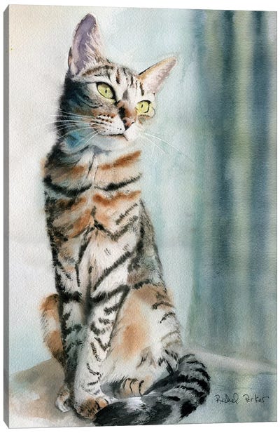 Tabby Lean Canvas Art Print - Tabby Cat Art