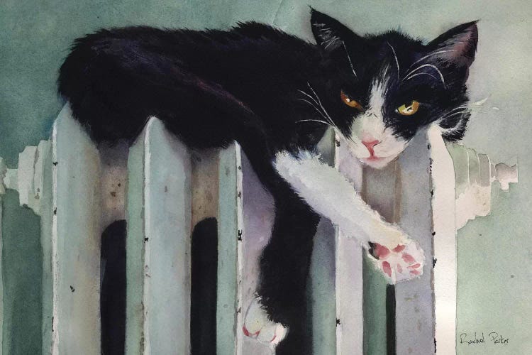 Toasty Tuxedo by Rachel Parker wall art
