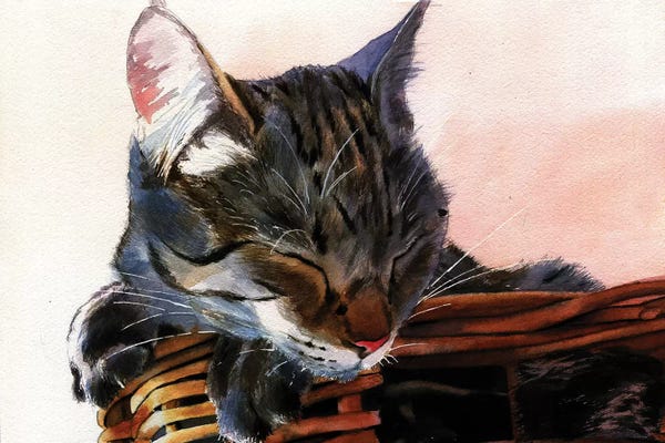 Tabbies: Basket Case by Rachel Parker