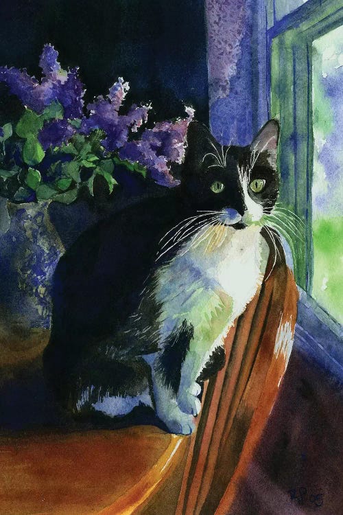 Tuxedo Garden by Rachel Parker wall art