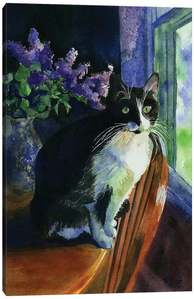 Tuxedo Garden Canvas Art Print - Tuxedo Cat Art