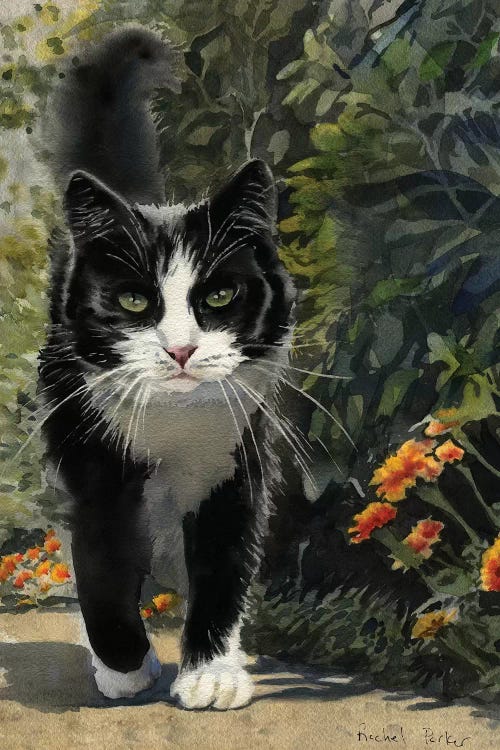 Tuxedo Stroll by Rachel Parker wall art