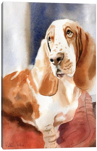 Basset Portrait Canvas Art Print - Basset Hound Art