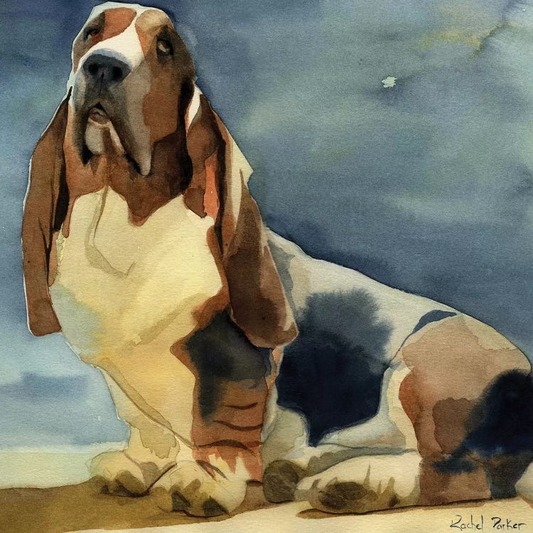 Basset Sun Rachel Varner by Rachel Parker wall art