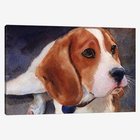 Beagle Portrait Canvas Print #RPK36} by Rachel Parker Canvas Print