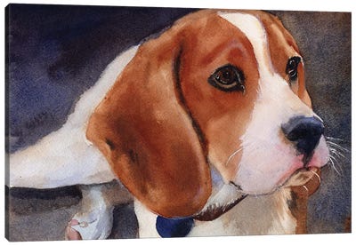Beagle Portrait Canvas Art Print - Beagle Art