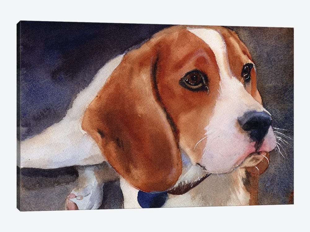 Beagle Portrait by Rachel Parker 1-piece Art Print