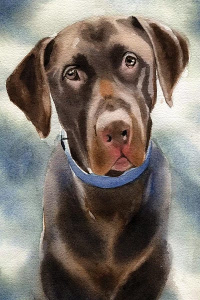 Chocolate Lab Portrait by Rachel Parker framed wall art