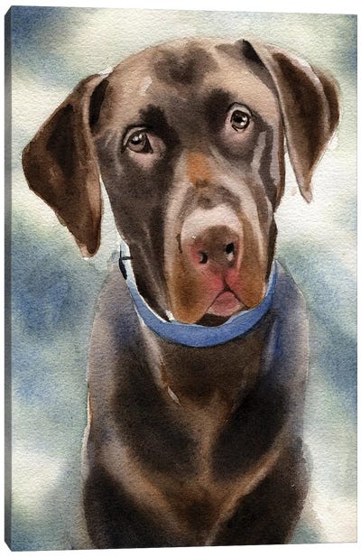 Chocolate Lab Portrait Canvas Art Print - Labrador Retriever Art