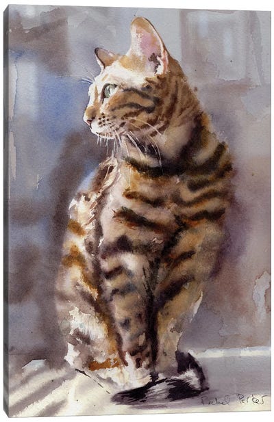 Bengal Light Canvas Art Print - Tabby Cat Art