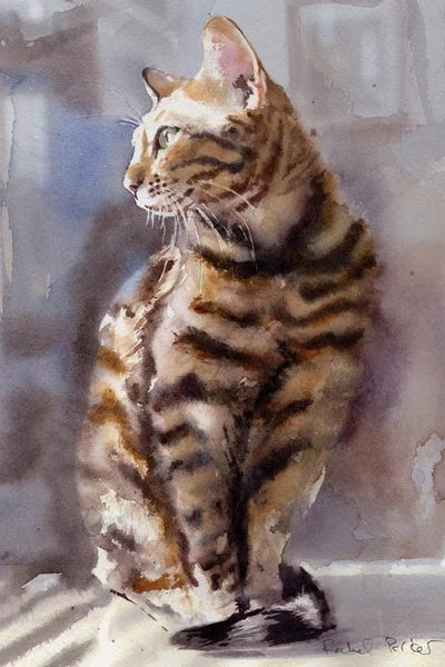 Tabbies: Bengal Light by Rachel Parker