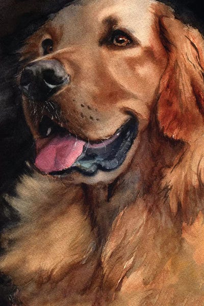 Golden Retrievers: Golden Retriever Joy by Rachel Parker