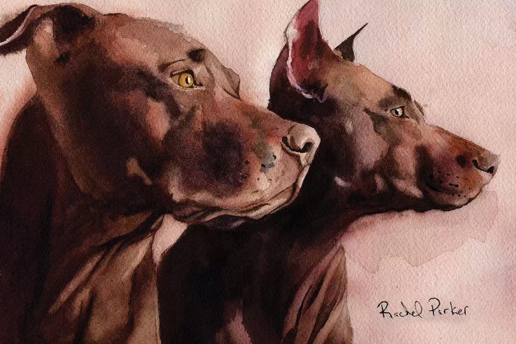 Good Morning Pit Bulls by Rachel Parker wall art