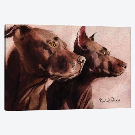 Good Morning Pit Bulls Canvas Print #RPK43} by Rachel Parker Art Print