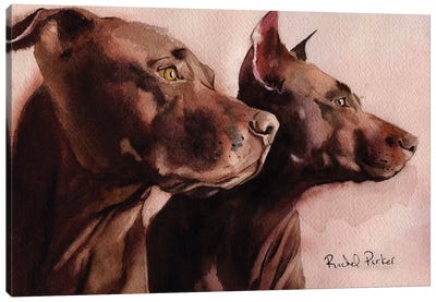 Good Morning Pit Bulls Canvas Art Print - Rachel Parker