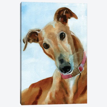 Greyhound Portrait Canvas Print #RPK44} by Rachel Parker Canvas Wall Art