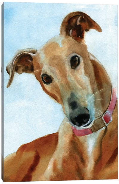 Greyhound Portrait Canvas Art Print - Greyhound Art